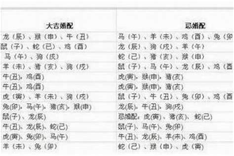 82 生肖|82年属什么生肖 1982年与什么生肖合作最佳